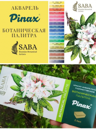 Набор акварели Pinax "Ботаническая палитра", 18 кювет, Extra, Artists