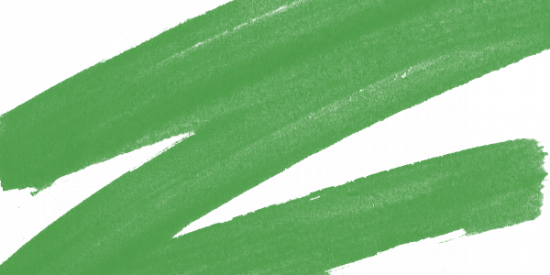 Маркер спиртовой двусторонний "Sketchmarker Brush", цвет №G91 Зеленый папоротник