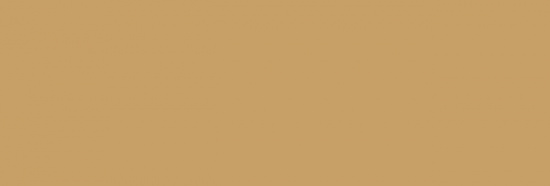 Карандаш пастельный "Pastel" рыжевато-коричневый P570
