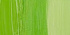 Краска масляная "Rembrandt" туба 40мл №633 Желто-зеленый устойчивый