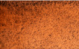 Акварель в тубе "Белые ночи", №388, 10мл, Оранжевая дымка