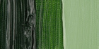 Краска масляная "Van Gogh" туба 200мл №623 Зеленый травяной
