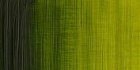 Масляная краска "Winton", зеленая крушина 37мл