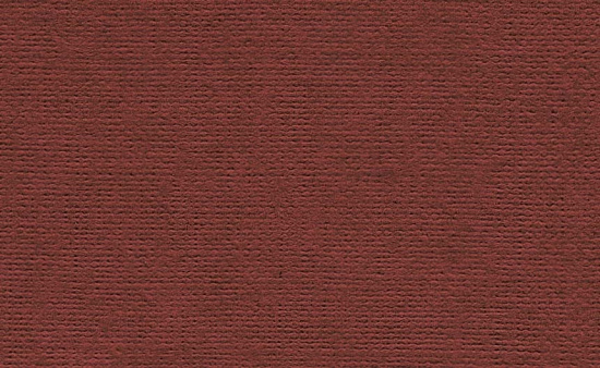 Бумага для пастели "Палаццо Beaujolais" (божоле) 160г/м2 А3 1л