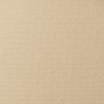 Бумага для пастели Lana белый серый 160г/м2 А4 1л