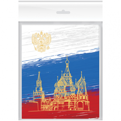 Набор обложек (3шт.) 210*350 для днев. и тетр., ПВХ 120 мкм, "Российский школьник", накл.