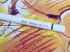 FABER-CASTELL Цветные карандаши "Polychromos" поштучно